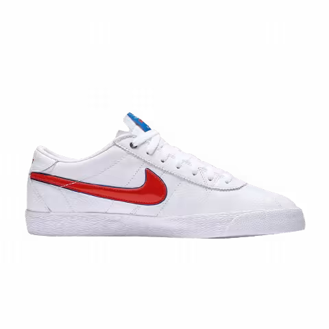 Nike Bruin SB Premium SE QS