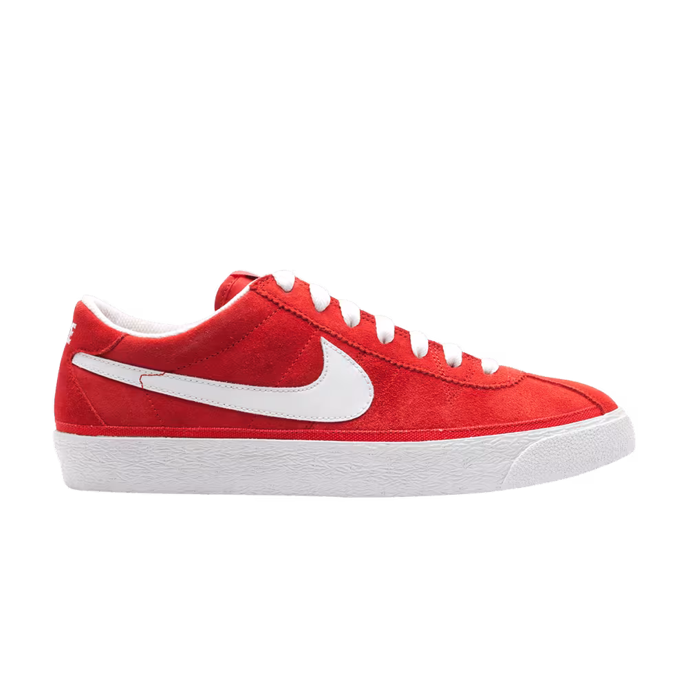 Nike Zoom Bruin Sb