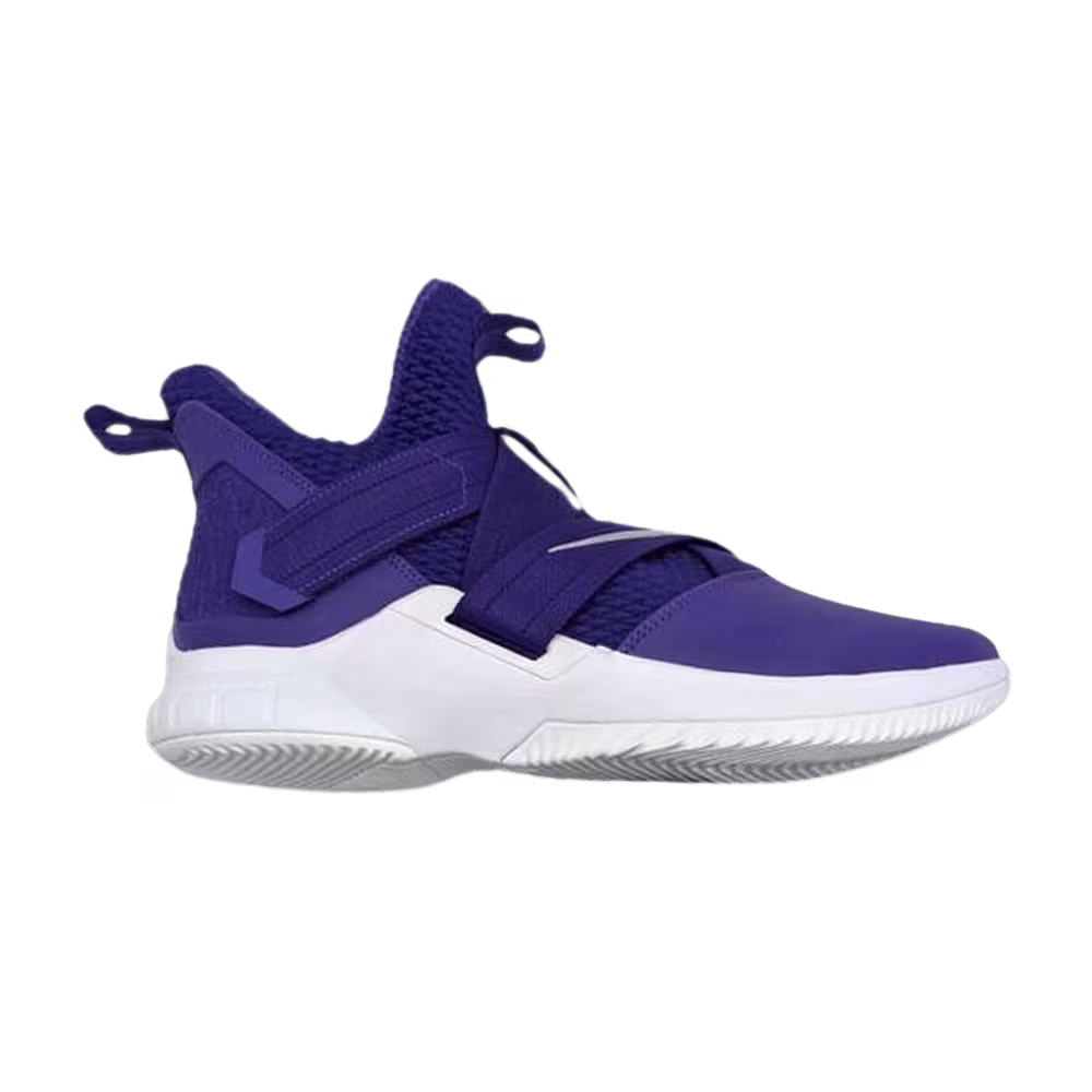 Nike LeBron Soldier 12 TB Court Purple
