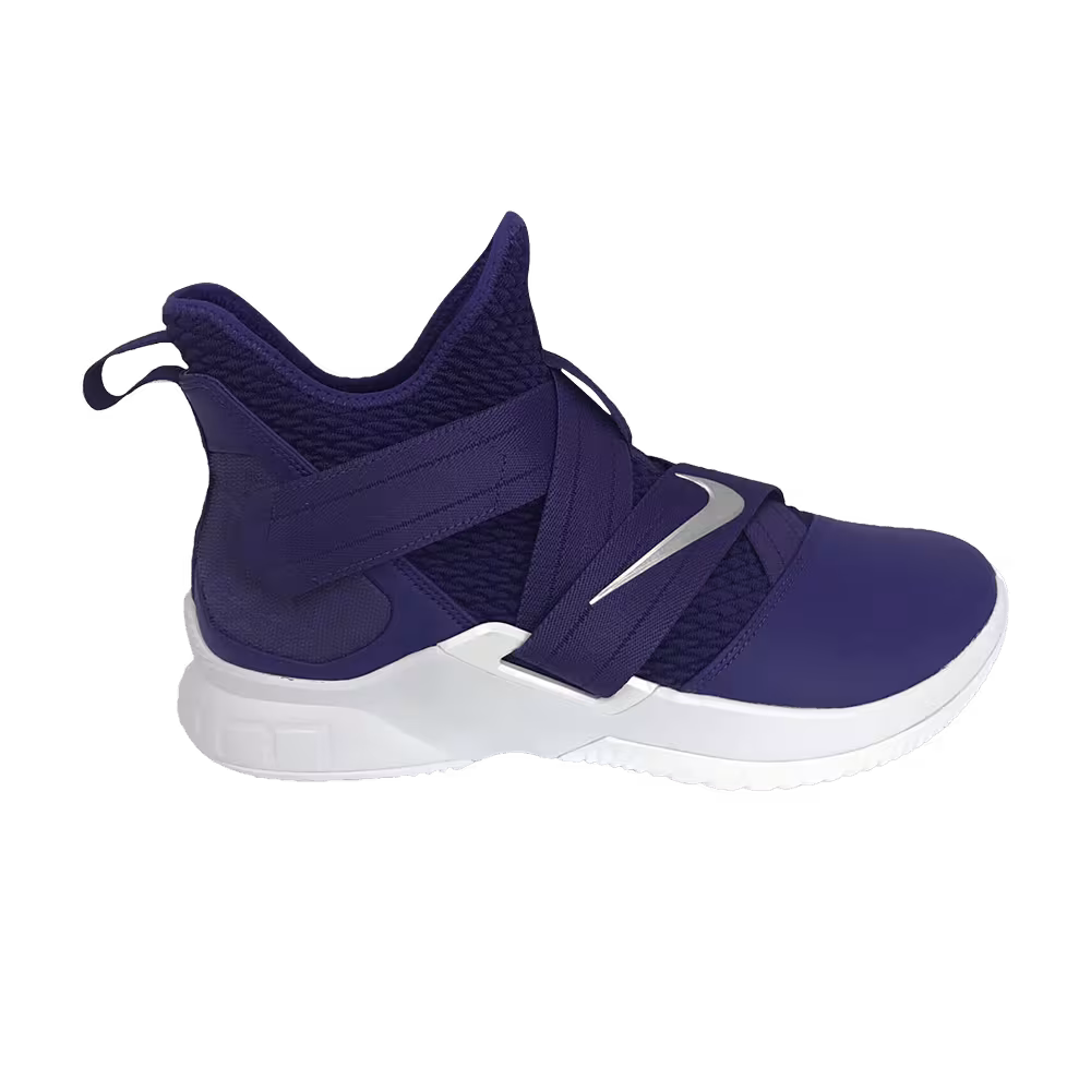 Nike LeBron Soldier 12 TB Court Purple
