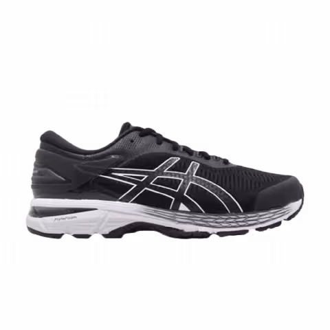 Asics Gel Kayano 25 Extra Wide 'Glacier Grey'