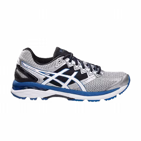 Asics GT 2000 4 'Silver Royal'