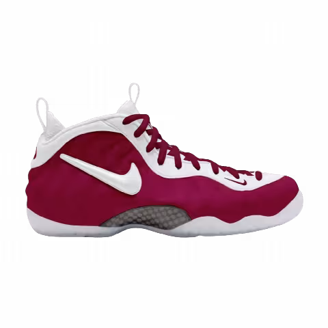 Nike Air Foamposite Pro 'College Football Pack - FSU'