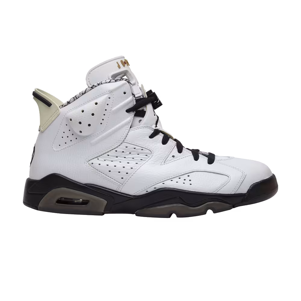 Air Jordan 6 Premium Motorsports