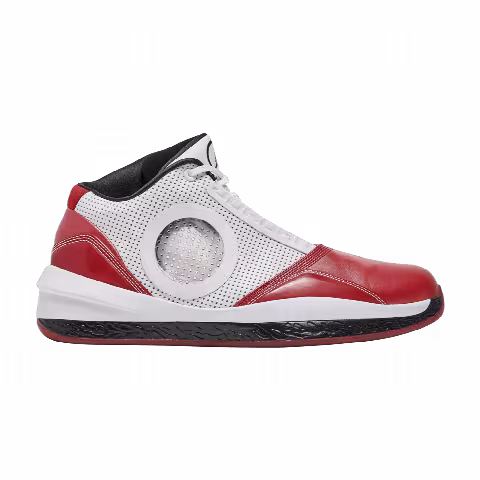 Air Jordan 2010 'Welcome Home'