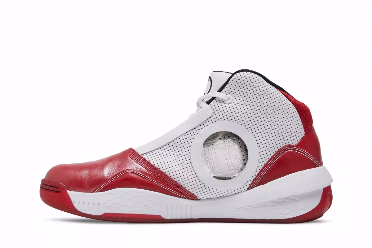 Air Jordan 2010 Welcome Home, view 4