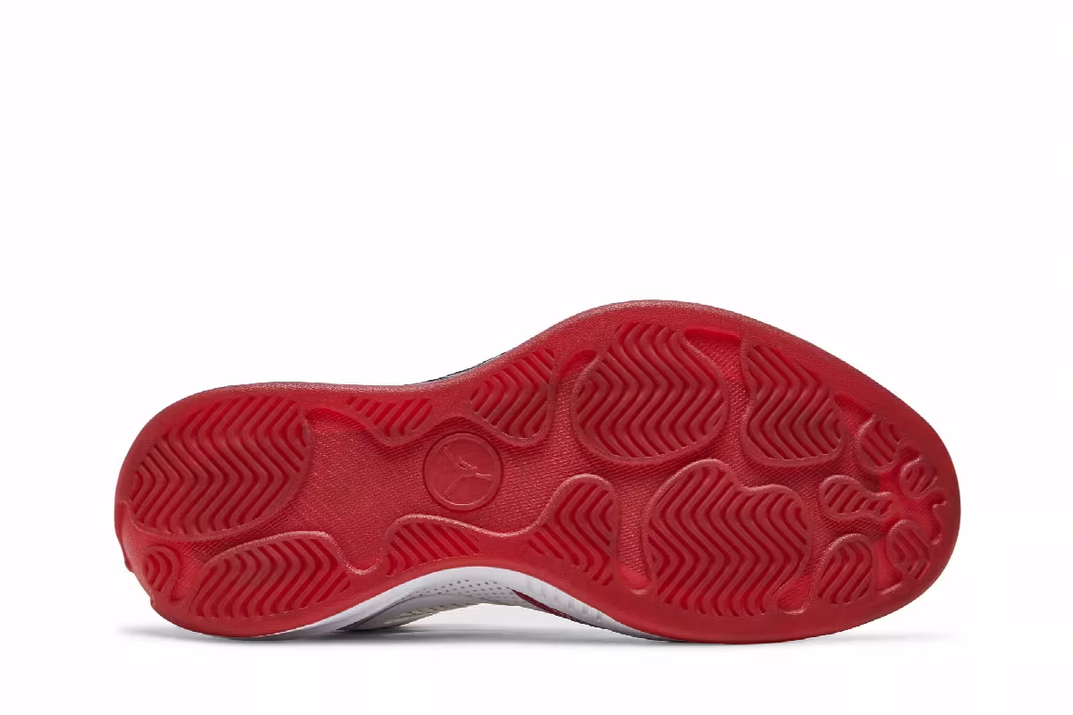 Air Jordan 2010 Welcome Home, view 5