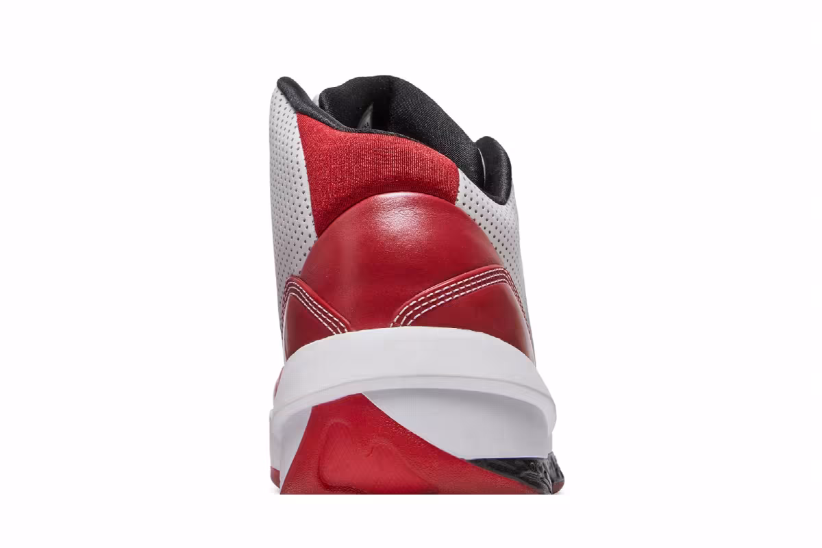 Air Jordan 2010 Welcome Home, view 8