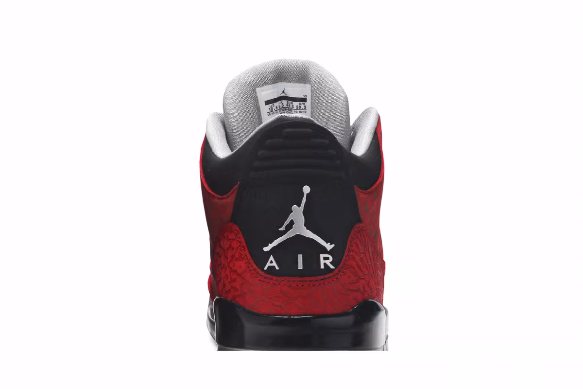 Air Jordan 3 Doernbecher 2010, view 8