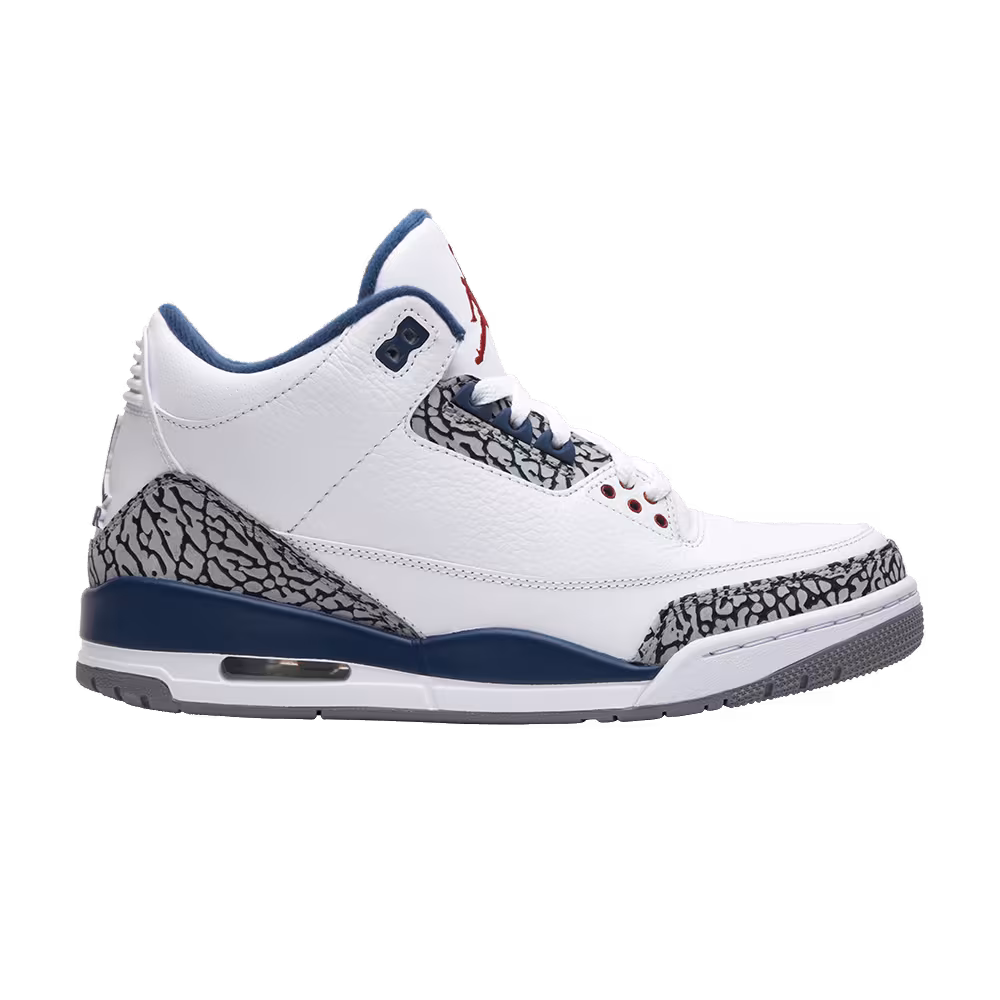 Air Jordan 3 True Blue 2011