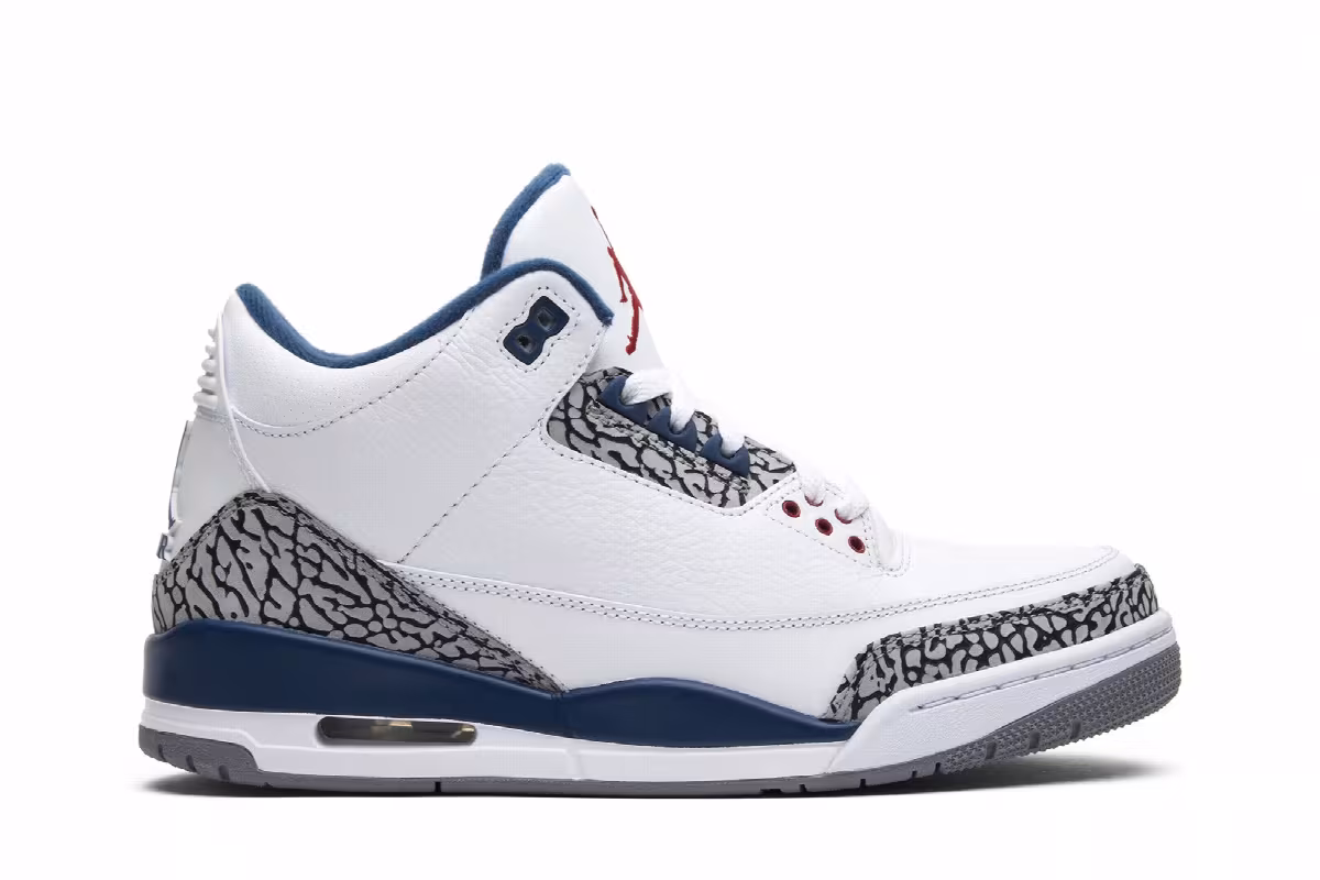 Air Jordan 3 True Blue 2011, view 2