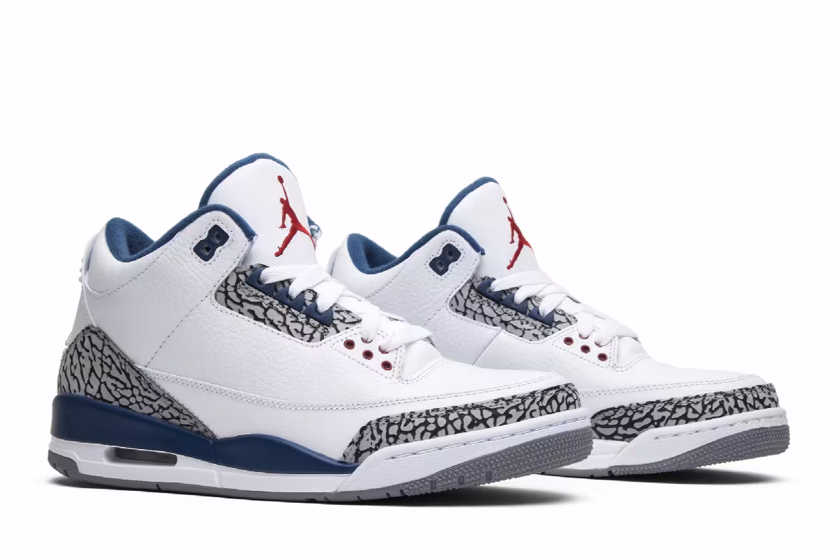 Air Jordan 3 True Blue 2011, view 9