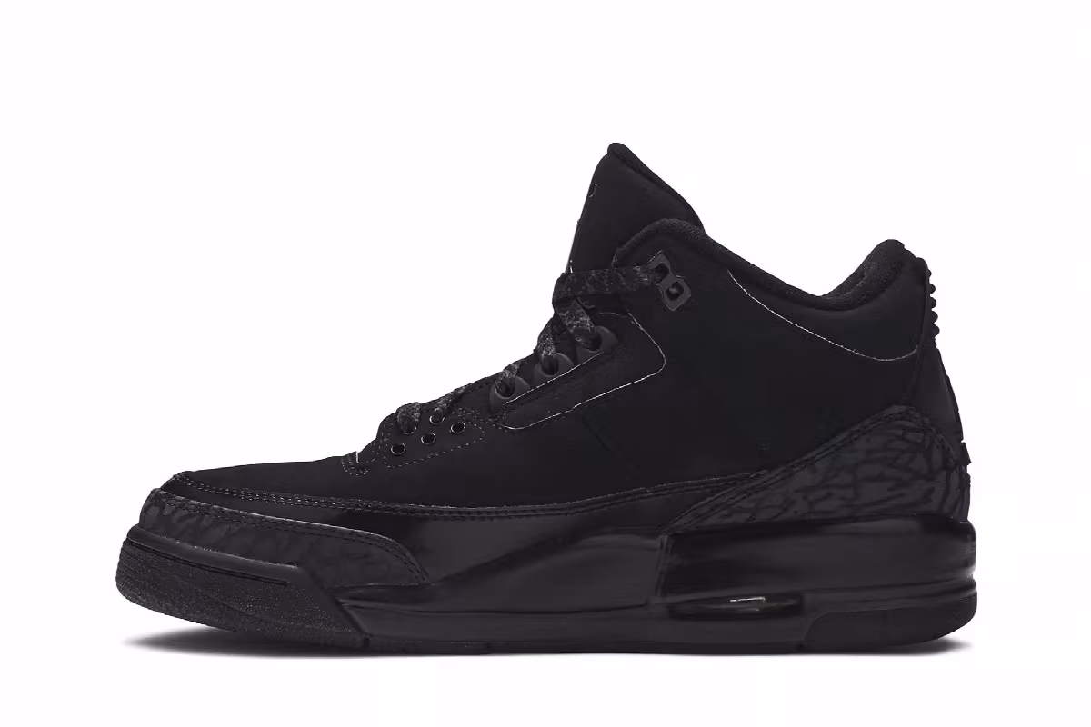 Air Jordan 3 Black Cat, view 4