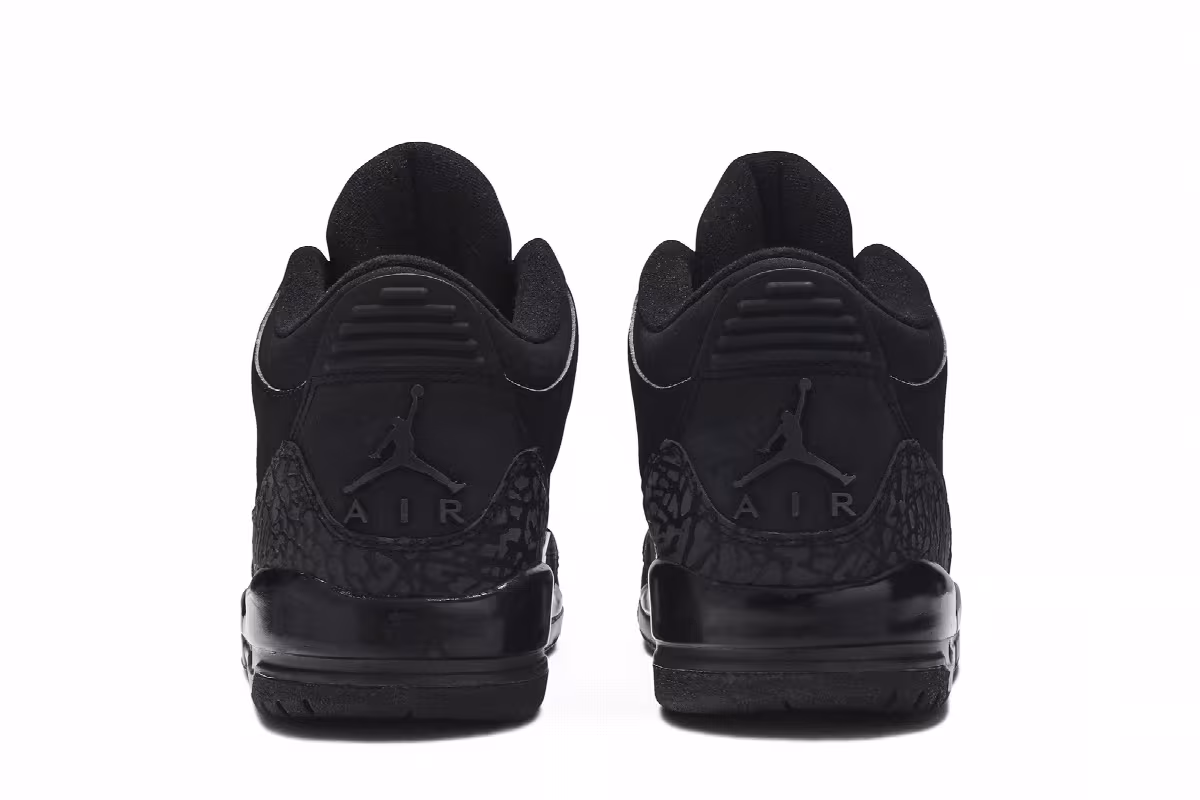 Air Jordan 3 Black Cat, view 7