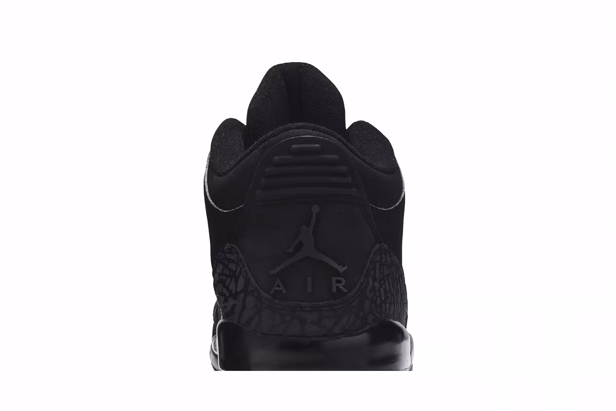 Air Jordan 3 Black Cat, view 8