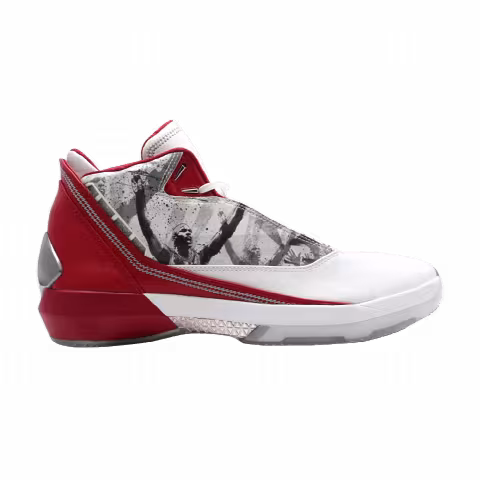 Air Jordan 22 OG 'Omega'