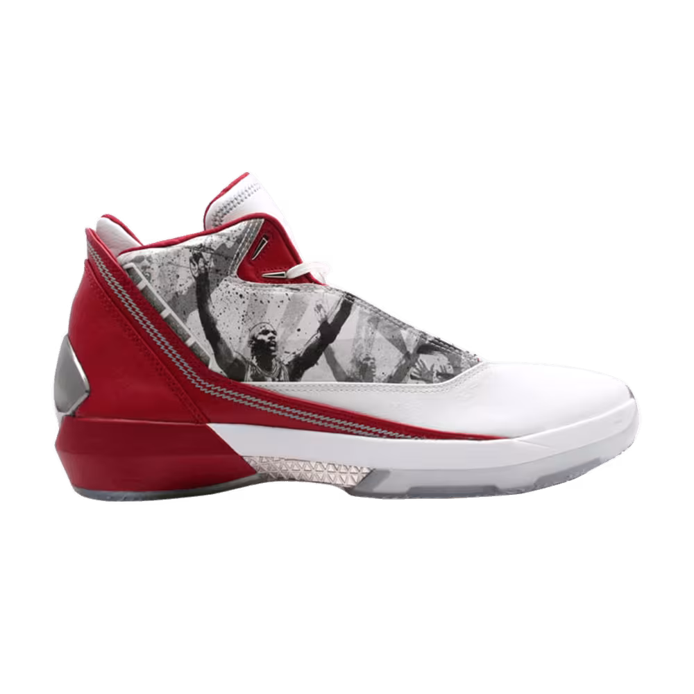 Air Jordan 22 OG Omega