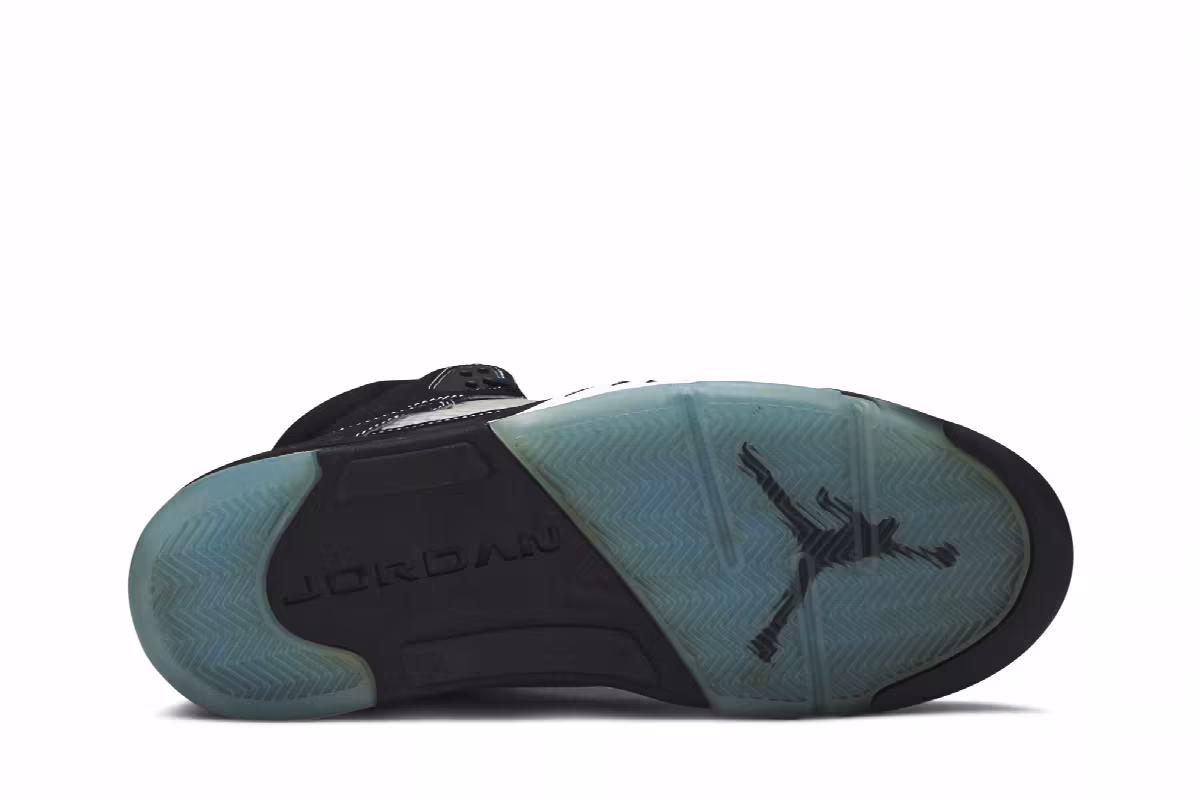 Air Jordan 5 LS UNC, view 5