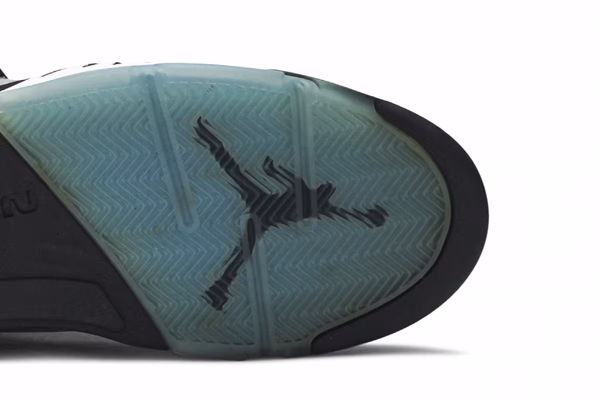 Air Jordan 5 LS UNC, view 6