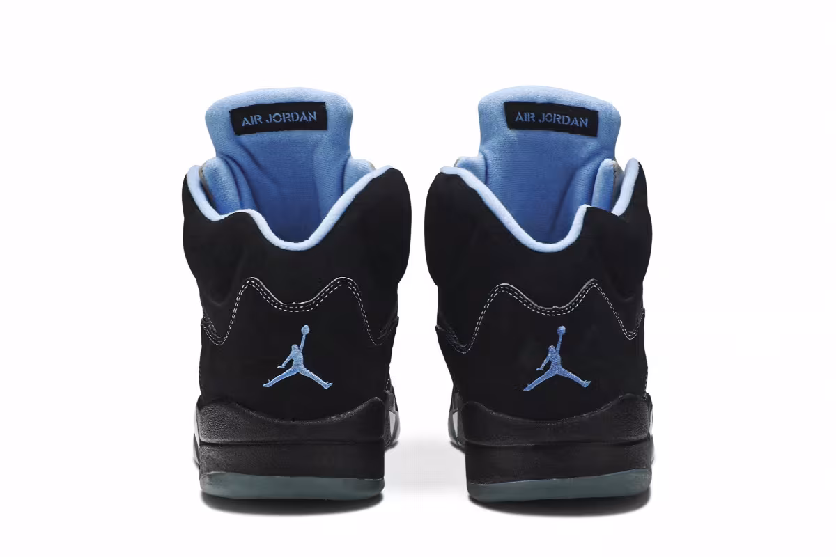 Air Jordan 5 LS UNC, view 7