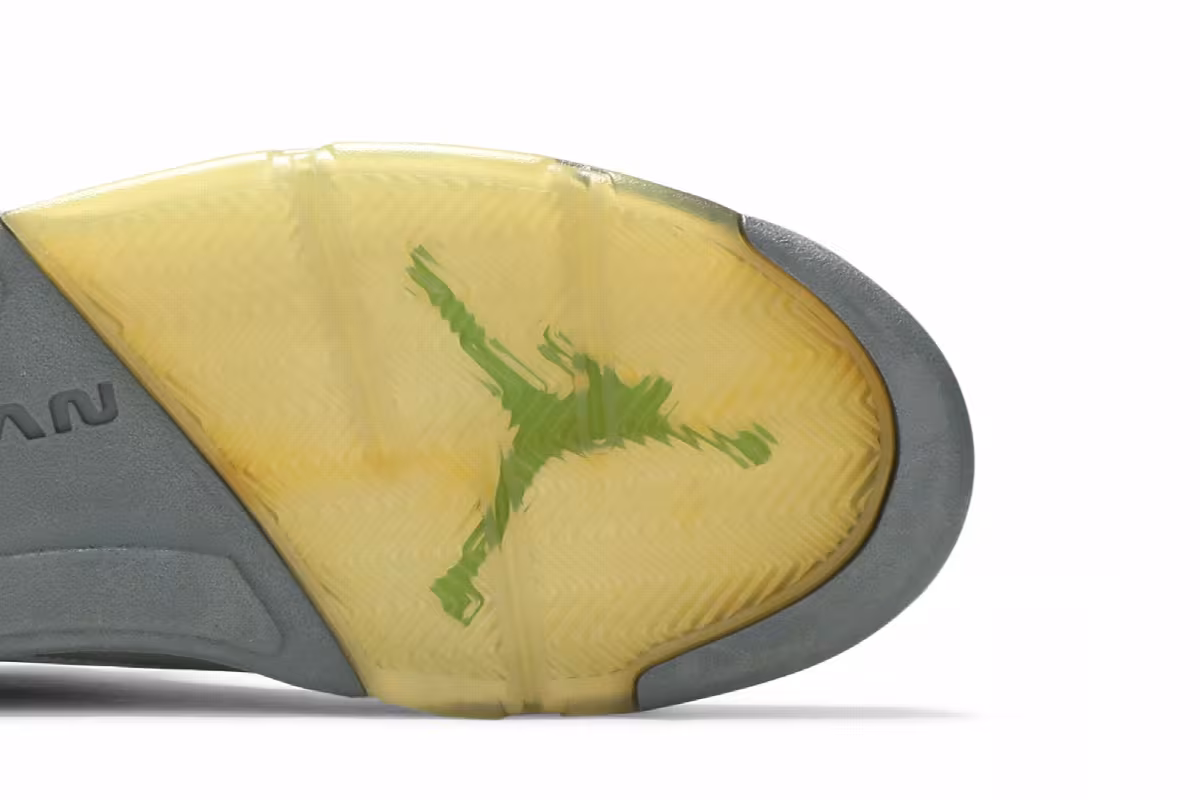 Air Jordan 5 Green Bean 2006, view 6