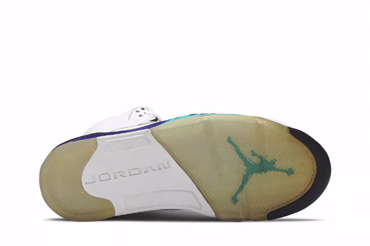 Air Jordan 5 LS Grape 2006, view 5
