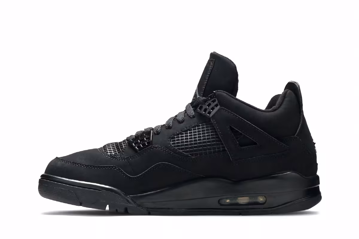 Air Jordan 4 Black Cat 2006, view 4