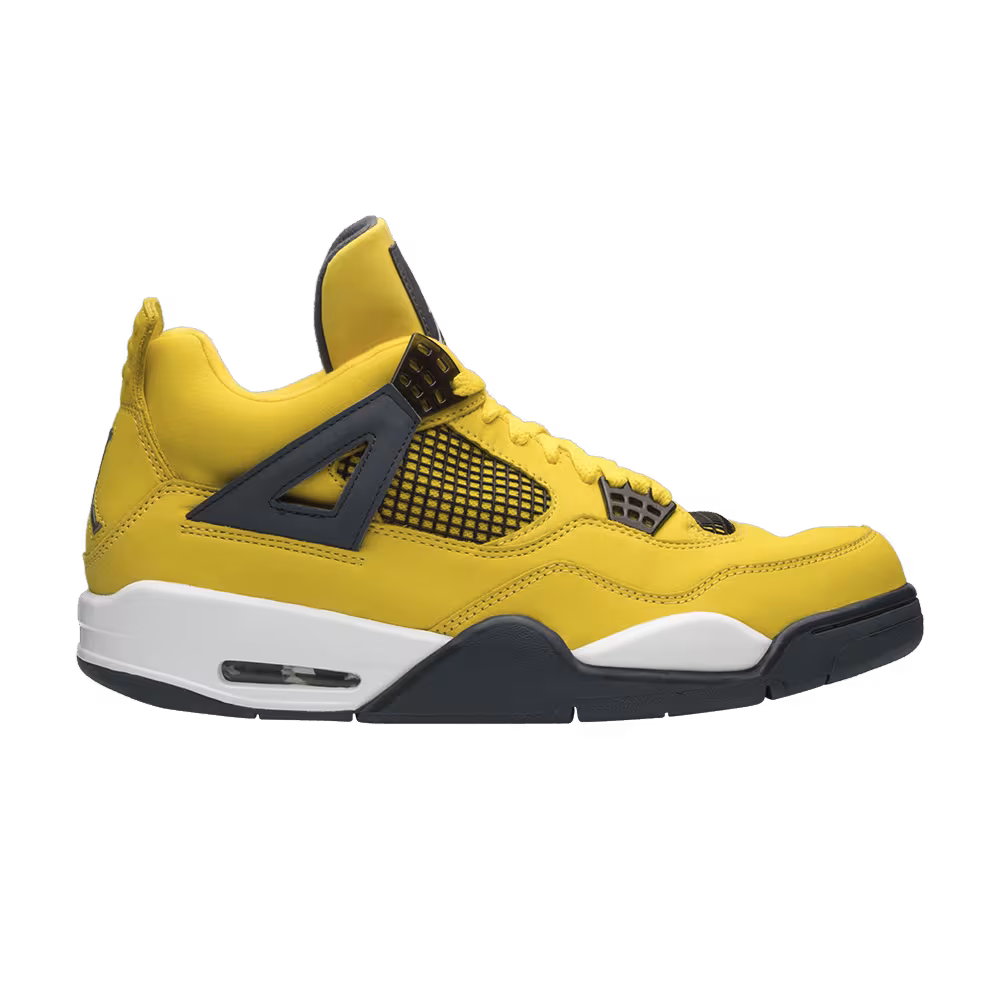 Air Jordan 4 LS Lightning 2006