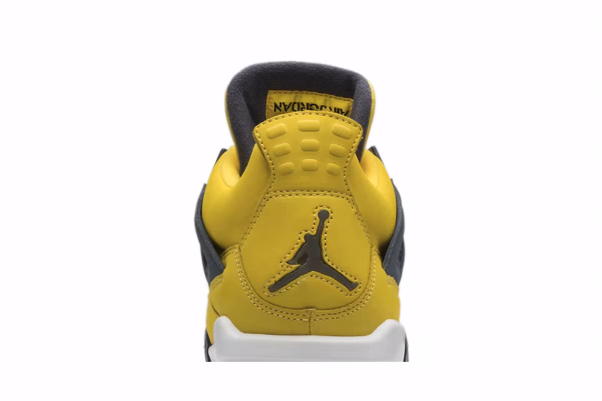 Air Jordan 4 LS Lightning 2006, view 8