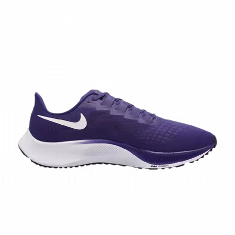 Nike Air Zoom Pegasus 37 TB 'Court Purple'