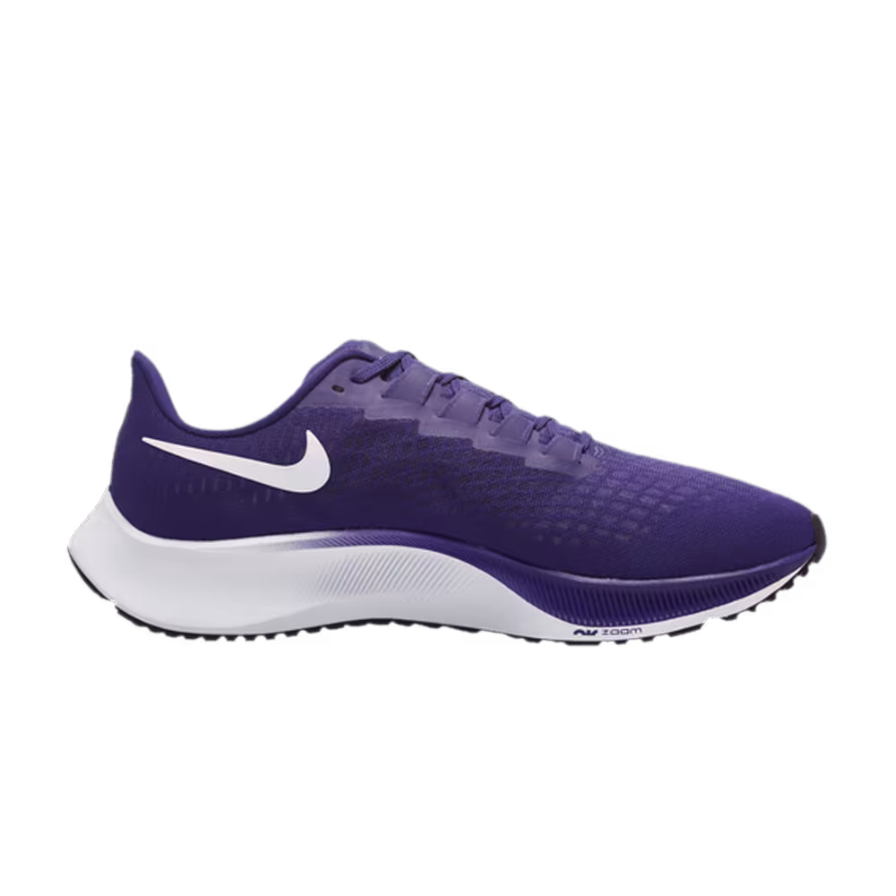 Nike Air Zoom Pegasus 37 TB Court Purple