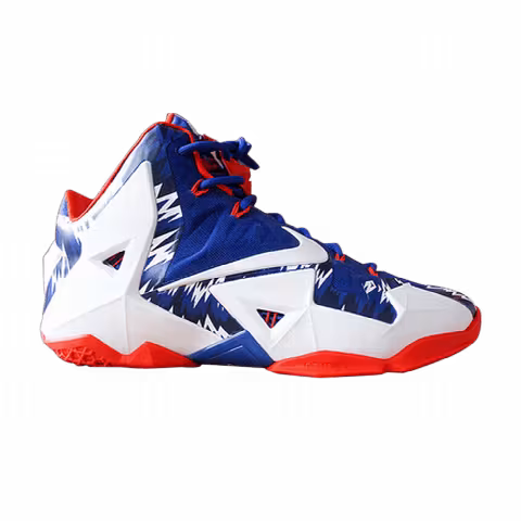 Nike Lebron 11 'Florida Gators Home'
