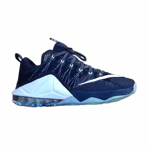 Nike LeBron 12 Low 'Akron' PE