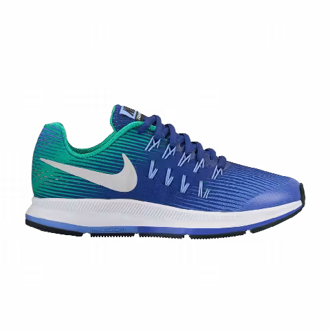 Nike Air Zoom Pegasus 33 GS