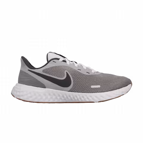 Nike Revolution 5 'Smoke Grey'