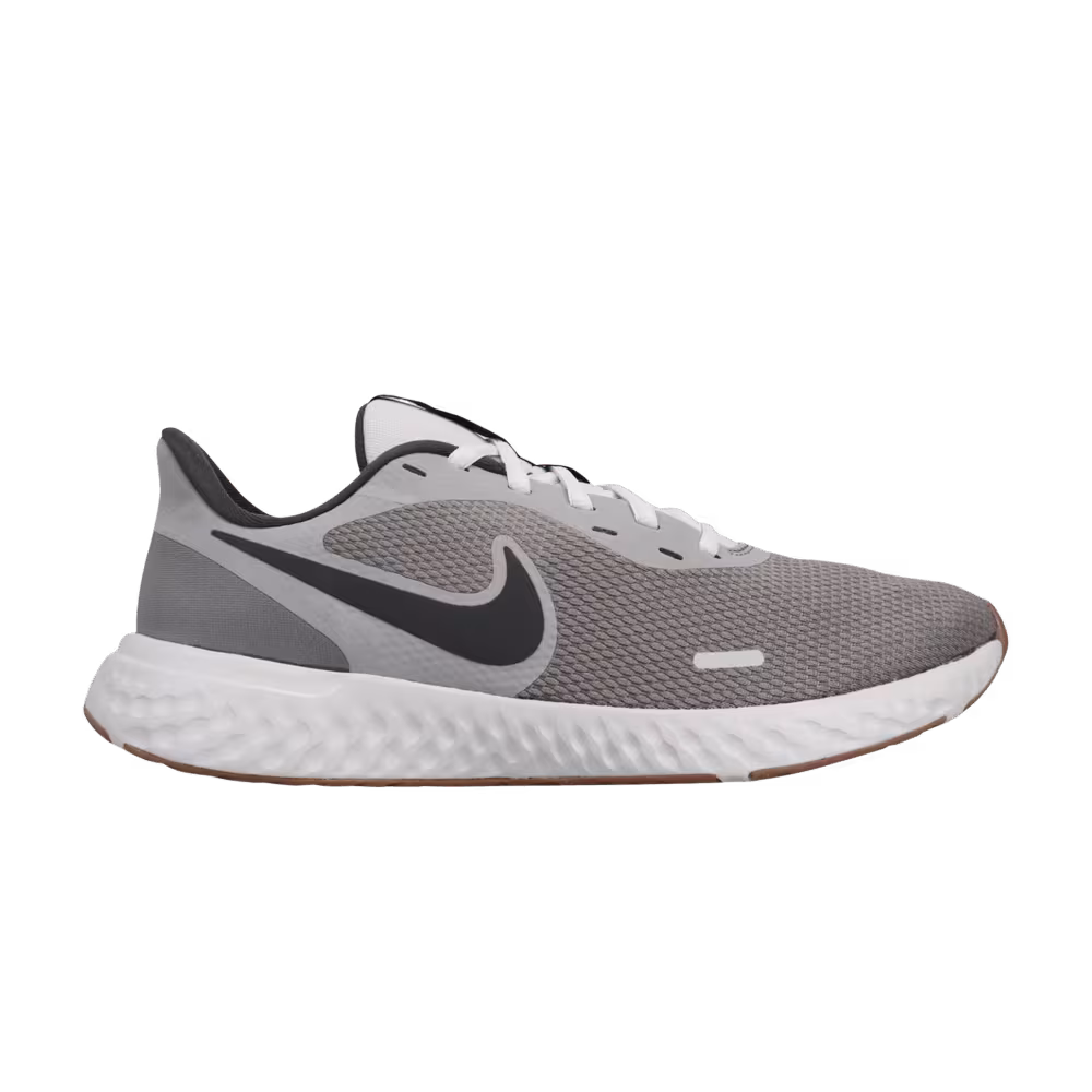 Nike Revolution 5 Smoke Grey