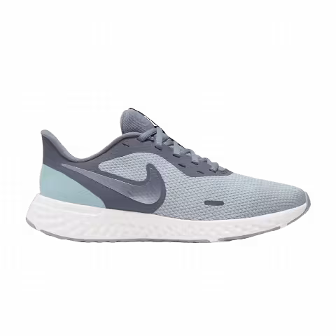 Nike Wmns Revolution 5 Wide 'Wolf Grey'
