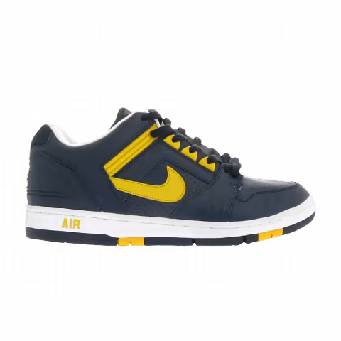 Nike Air Force 2 Low 'Michigan'