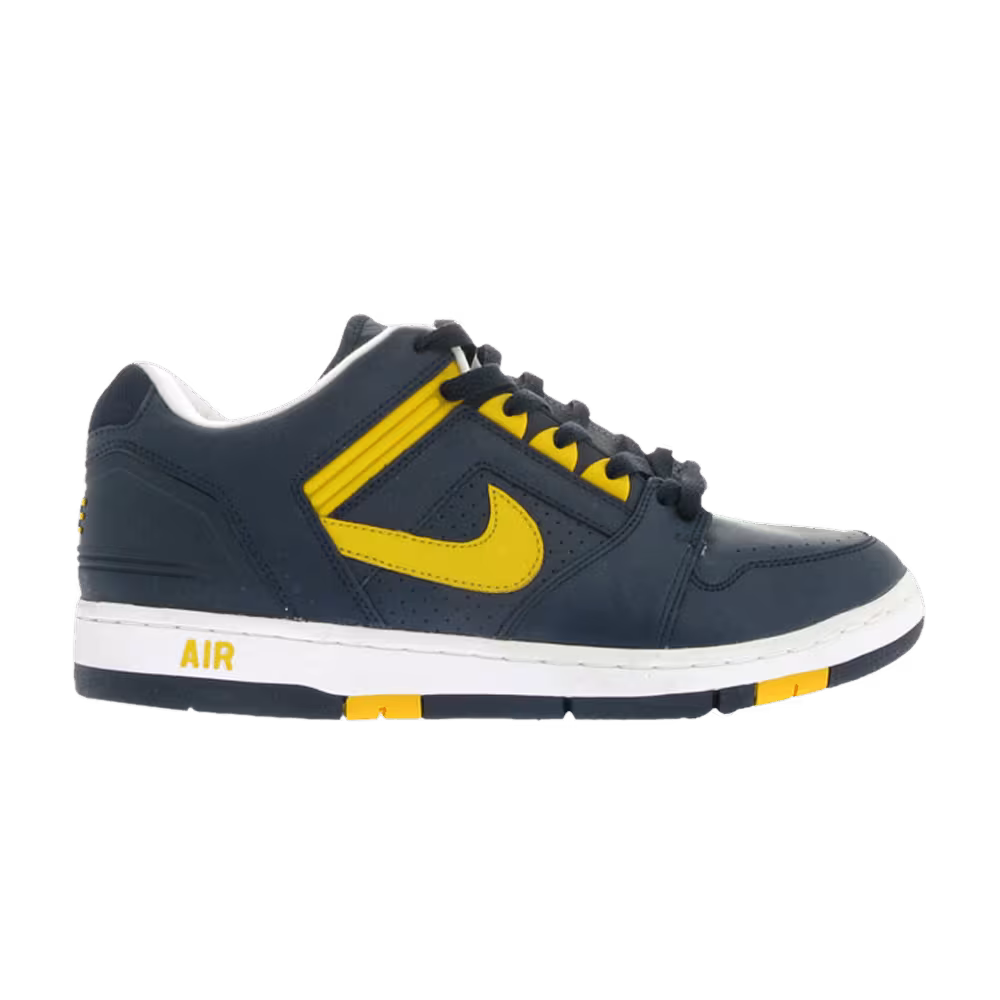 Nike Air Force 2 Low Michigan