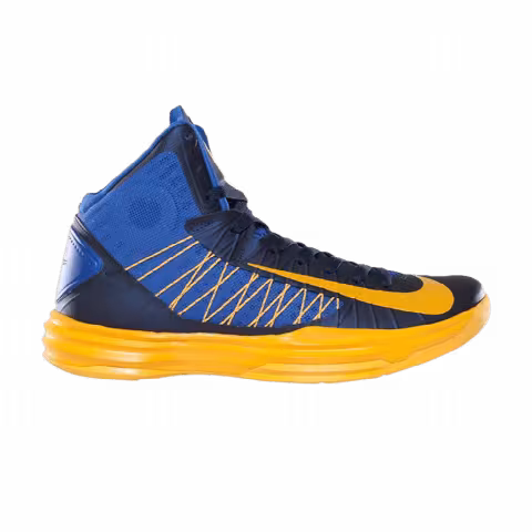 Nike Hyperdunk 2012 'Royal Gold'