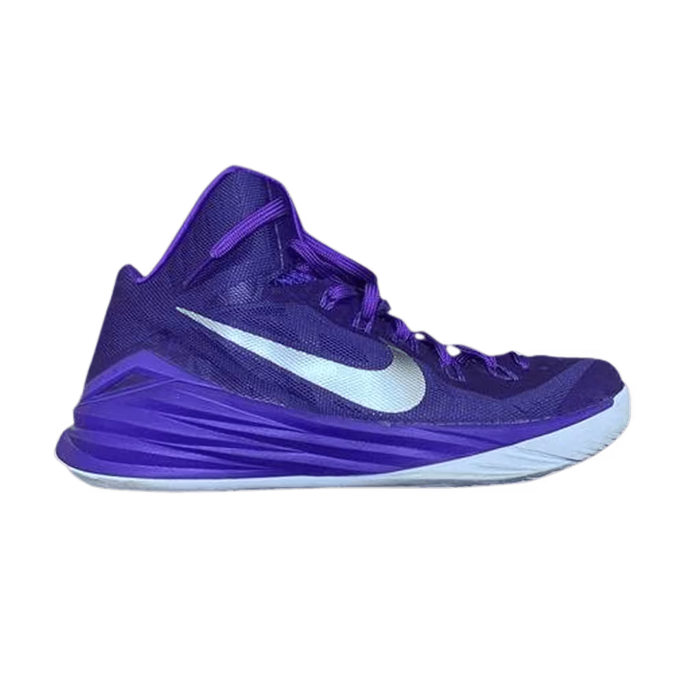 Nike Hyperdunk 2014 TB Court Purple