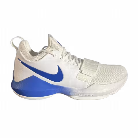 Nike PG 1 'Kentucky Home' PE