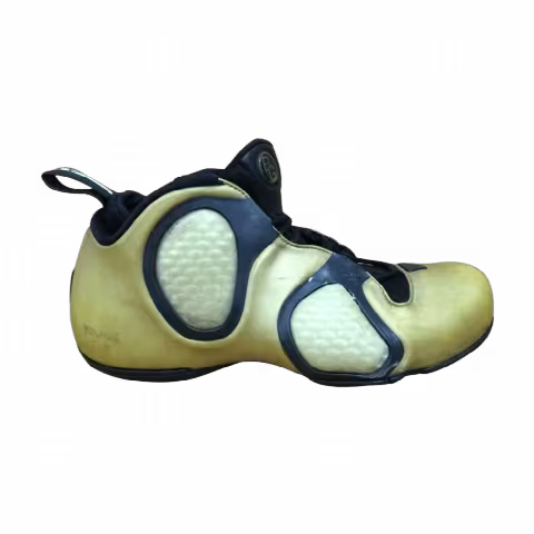 Nike Air Flightposite 3 'Battleground'