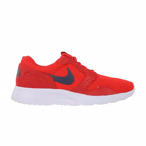 Nike Kaishi