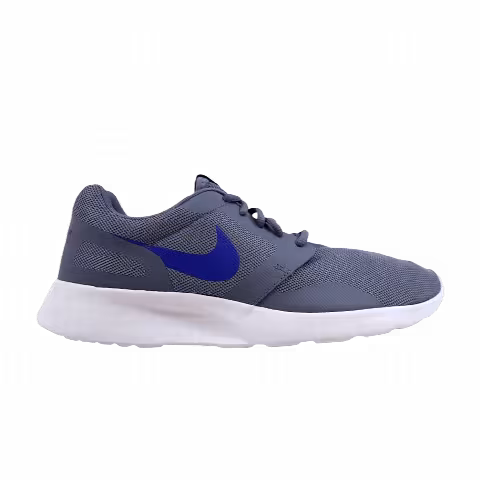 Nike Wmns Kaishi NS 'Dark Sky Blue'