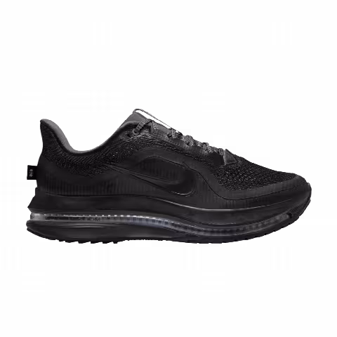 Nike Pegasus Premium 'Berlin Marathon'