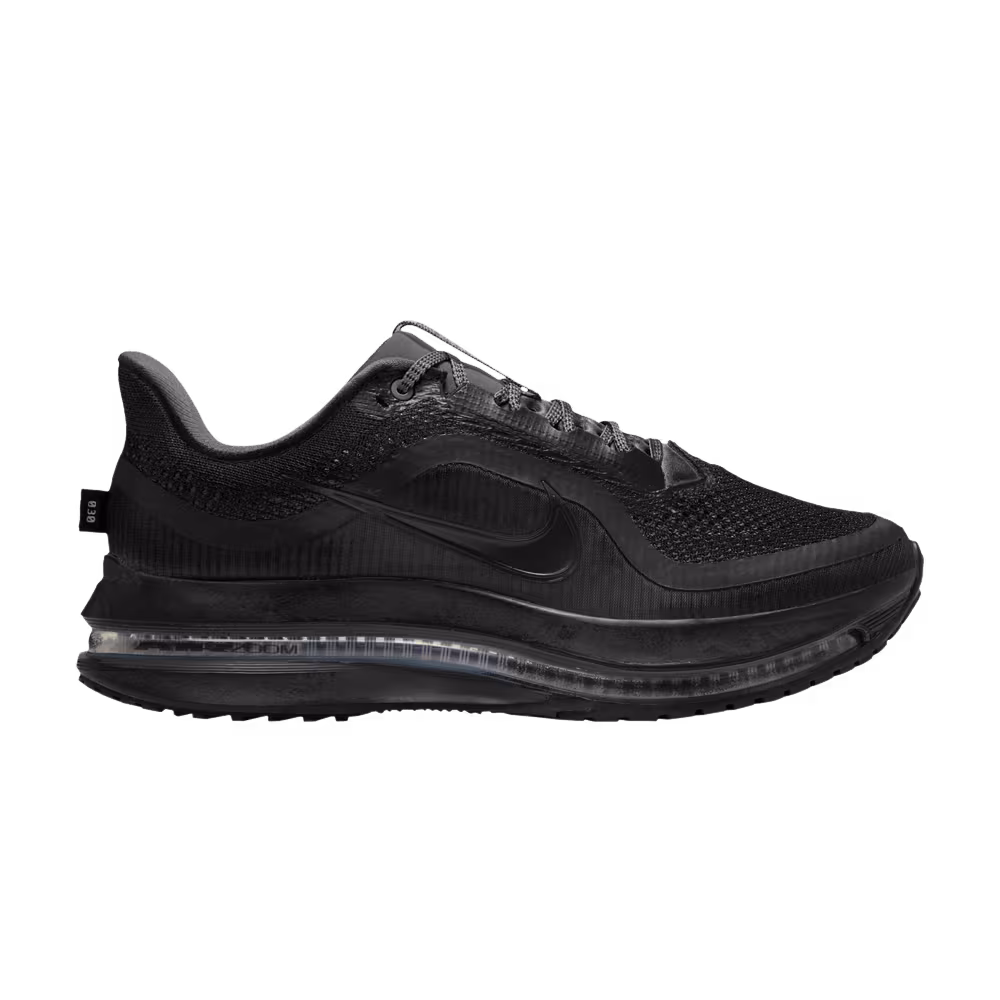 Nike Pegasus Premium Berlin Marathon