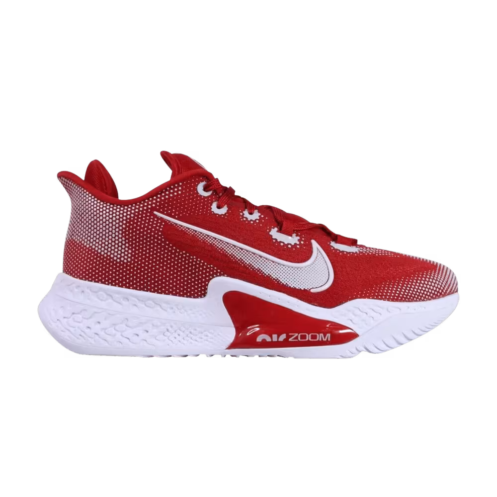 Nike Air Zoom BB NXT TB Gym Red