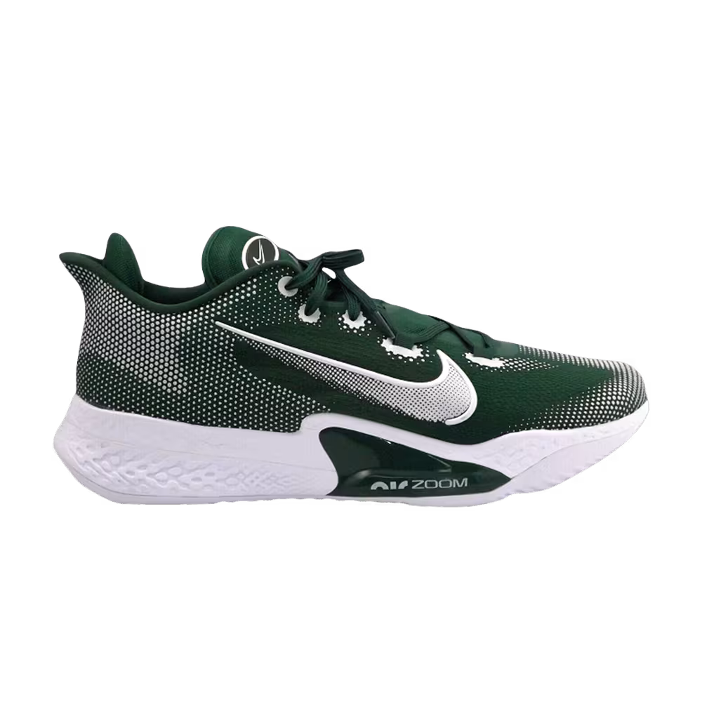 Nike Air Zoom BB NXT TB Gorge Green