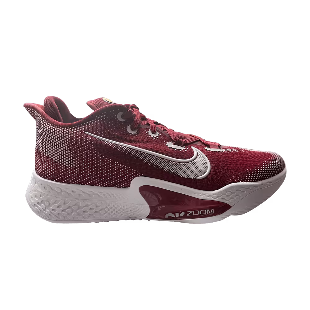 Nike Air Zoom BB NXT TB Team Red